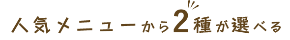 人気メニューから2種が選べる